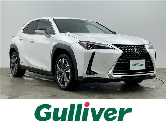 UX 300e バージョンL 本革シート サンルーフ