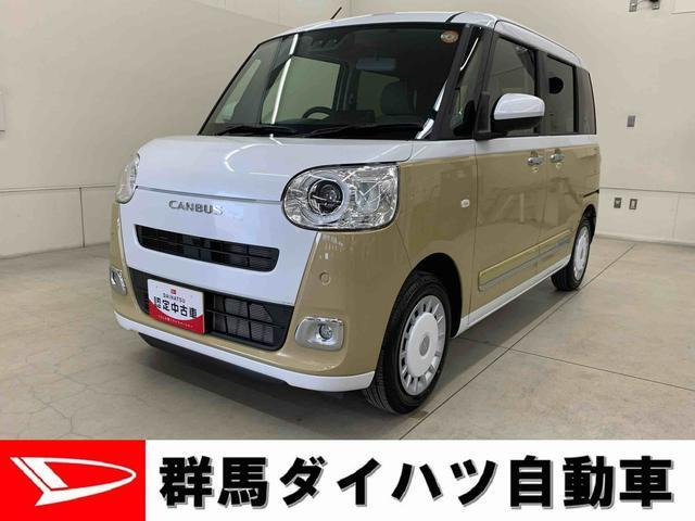 ムーヴキャンバス  ストライプス G