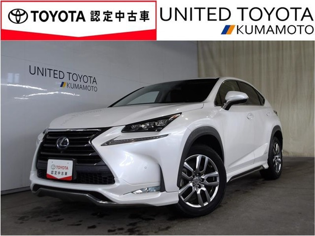 NX 300h Iパッケージ 