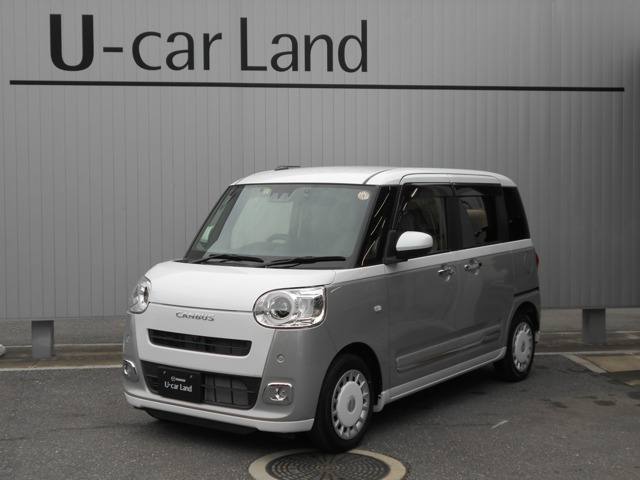 ムーヴキャンバス  ストライプス G