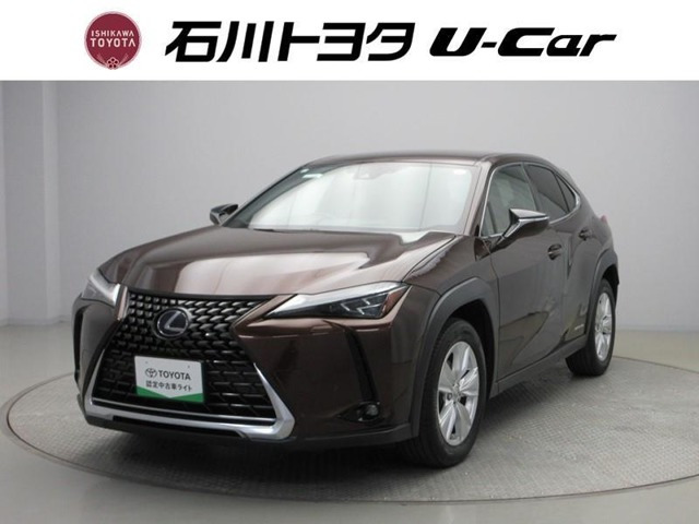 UX 250h バージョンC 