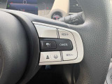 運転支援システムのスイッチになります。高速道路での運転も楽々です!