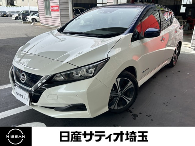 リーフ X 