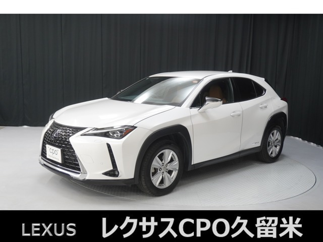 UX 250h バージョンC 