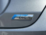 DIG-S