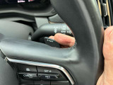 ドライバーの意志を瞬時に伝える、素早いシフト操作が可能なパドルシフトが備わります。