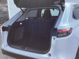 トランクの広さは、どうです、たくさんの荷物が積めますよ。トノカバー付き。荷室のプライバシーを守ってくれます。見た目もスッキリ、防犯性も高まります。