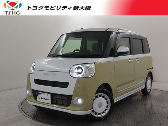 ムーヴキャンバス  ストライプス G