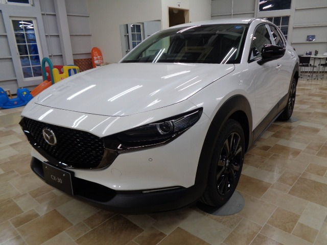 マツダ CX-30 