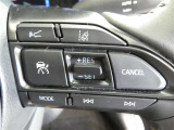 クルーズコントロール機能搭載です。長い高速走行、アクセルを踏まないで走行できれば運転も楽ですよね。