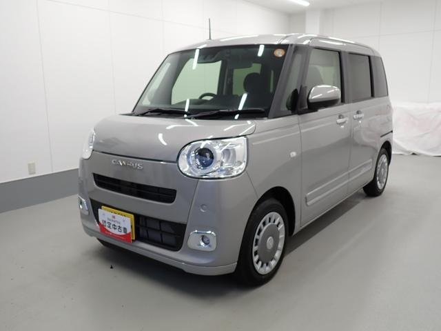 ムーヴキャンバス  セオリー G