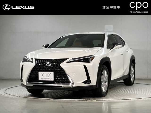 UX 250h バージョンC 