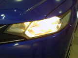 ハロゲンライトの光は淡い黄色の優しい光で、対向車に眩しく感じることが少なく、整備も楽にできます。