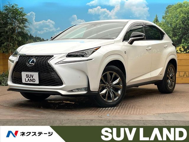 NX 300h Fスポーツ 