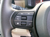 ハンドルにオーディオの操作スイッチが装備されています!視線を前方から外さずハンドルから手を離さずに操作できるのでとっても安全ですね♪
