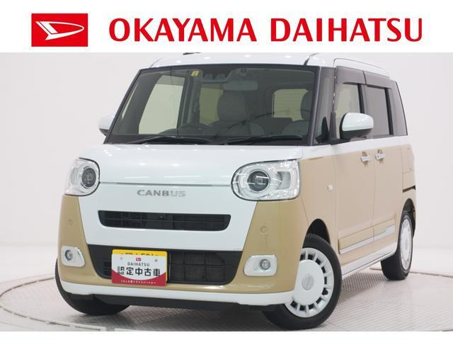 ムーヴキャンバス  ストライプス G