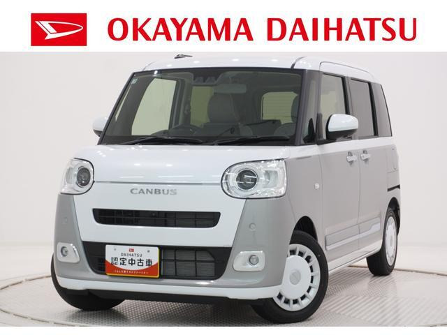 ムーヴキャンバス  ストライプス G