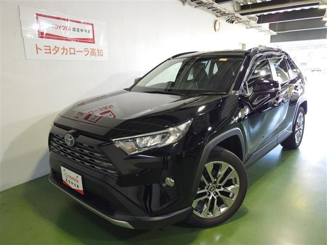 RAV4  2.0 G Zパッケージ 4WD
