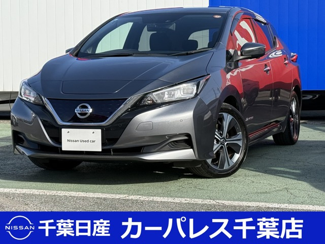 リーフ  X Vセレクション