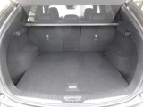 広々ラゲッジスペースはレジャーやアウトドアにピッタリです。リアシートは4:2:4の3分割で倒すことができます。後部座席を倒せばたくさんの荷物を積めるフラットなラゲッジスペースになります。