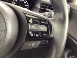 クルーズコントロールを装備しています。高速道路などで一定の速度で走ってくれるので運転が楽ですよ!速度を設定できますので、スピードの出しすぎにも注意できます。