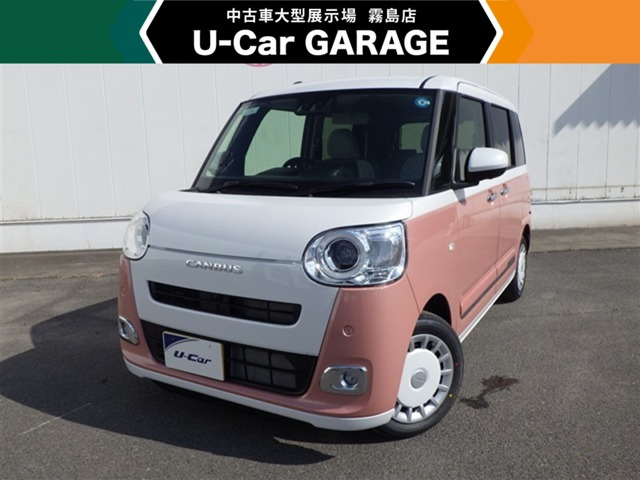 ムーヴキャンバス  ストライプス G