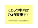 こちらの車両はひょう被害を受けております。