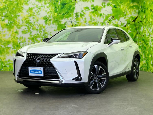 UX 250h バージョンC 