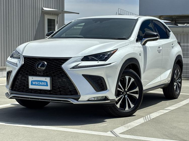 NX 300 Fスポーツ 