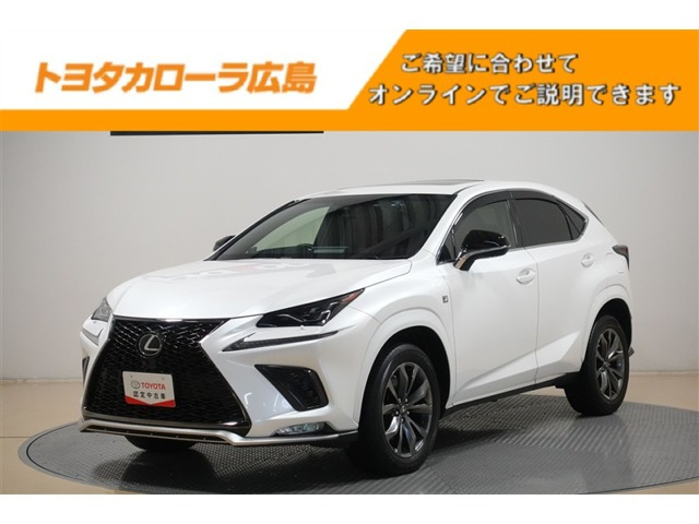 NX 300 Fスポーツ 