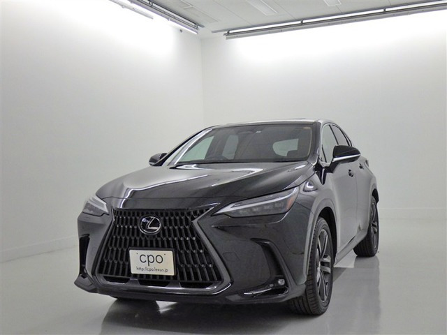 NX 250 バージョンL NX 250 バージョンL