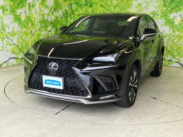 NX 300 Fスポーツ 