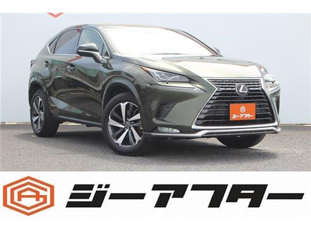 NX 300 スパイス&シック 後期型 禁煙車 サンルーフ