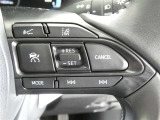 クルーズコントロール機能搭載です。長い高速走行、アクセルを踏まないで走行できれば運転も楽ですよね。