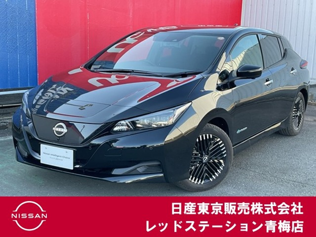 リーフ  X Vセレクション
