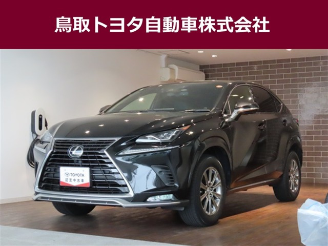 NX 300 スパイス&シック 4WD