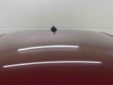 中古車なら同じ予算で新車を買うより、ワンランクもツーランクも上のグレードを選ぶことも可能です。憧れの最新車種も手に入れるチャンスです!