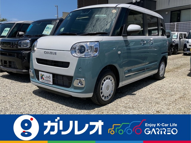 ムーヴキャンバス  ストライプス G