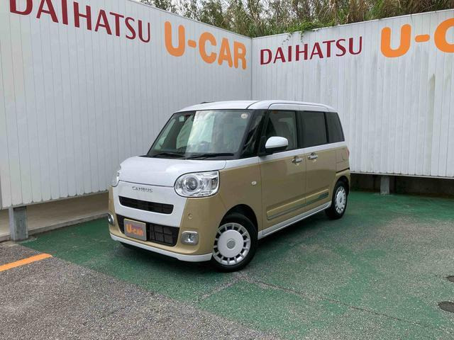 ムーヴキャンバス  ストライプス G