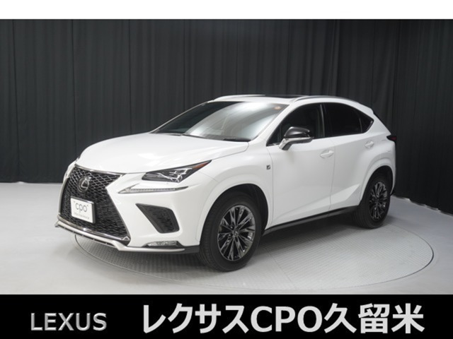 NX 300 4WD クール&ブライト 4WD