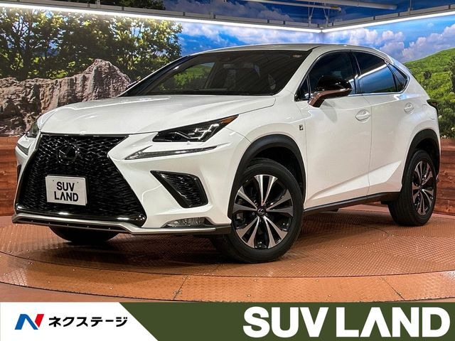 NX 300 Fスポーツ 