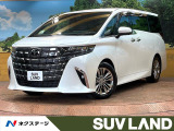 禁煙車 後席モニター ガラスルーフ 14型ナビ 全周囲カメラ ETC