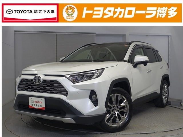 RAV4  2.0 G Zパッケージ 4WD