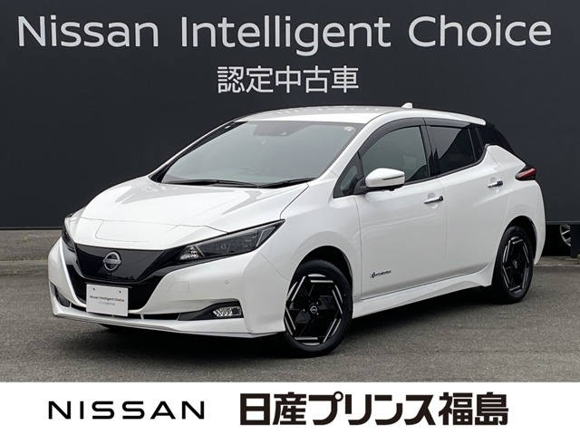 リーフ e+ X 