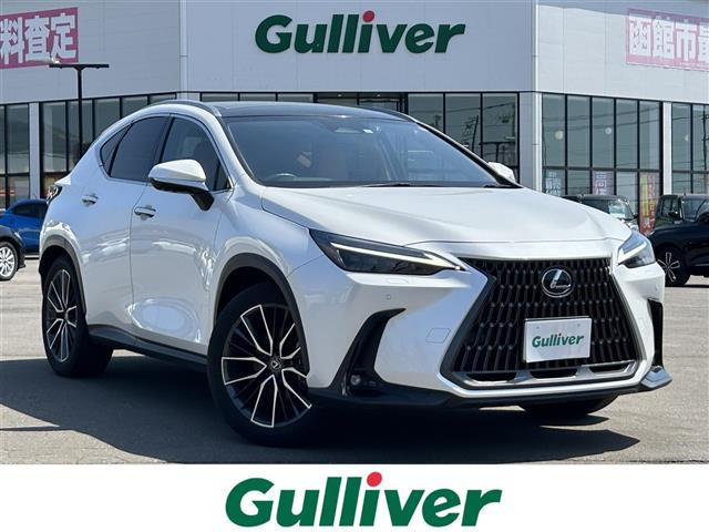 NX 250 バージョンL 4WD 4WD 本革シート