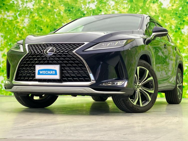 RX 300 バージョンL 