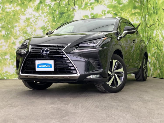 NX 300h バージョンL 