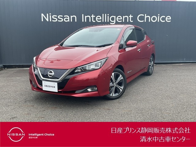 リーフ G 