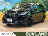 11型ナビ 全周囲カメラ 黒革シート 禁煙車 7人乗り ウォークスルー
