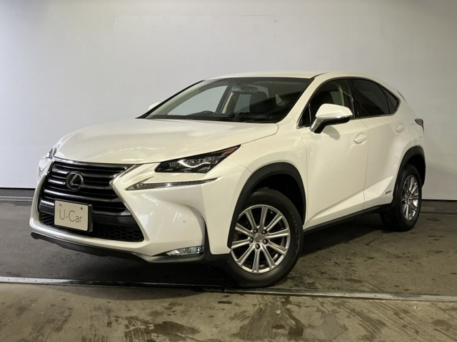 NX 300h Iパッケージ 